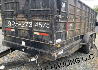 Professional Hauling and Disposal